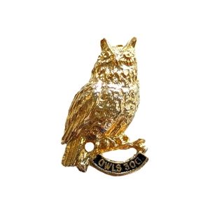 (3 for $20) Owls 306 Lapel or Cap Pin